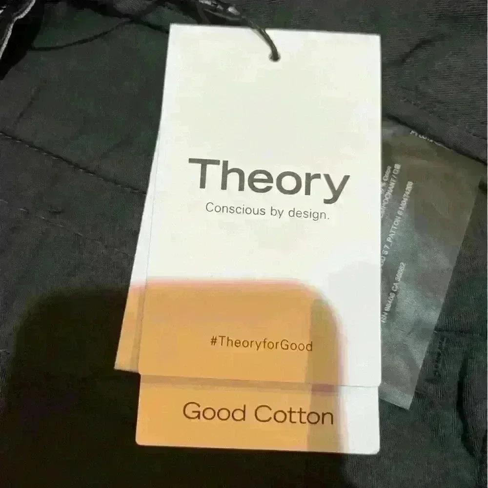 Theory questions leave